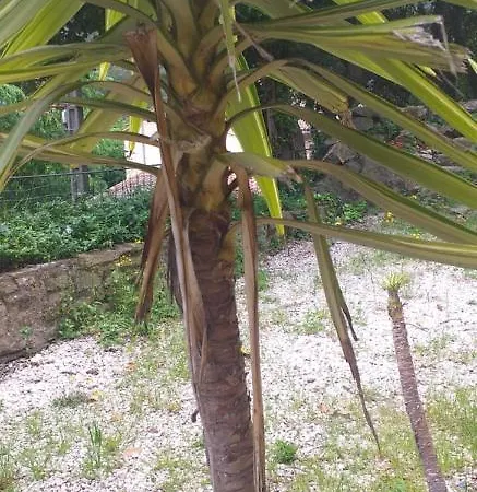 Mas La Bergerie Apartmán